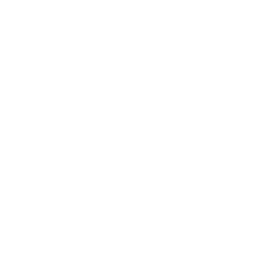 PMI Goiás, Brazil — capítulo realizador